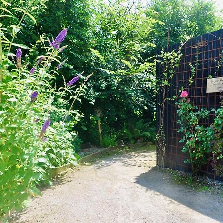 Les Bobos A La Ferme Bed and Breakfast La Madelaine-sous-Montreuil Buitenkant foto